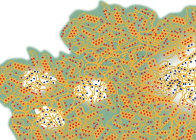 Graphical abstract – Detectable zones