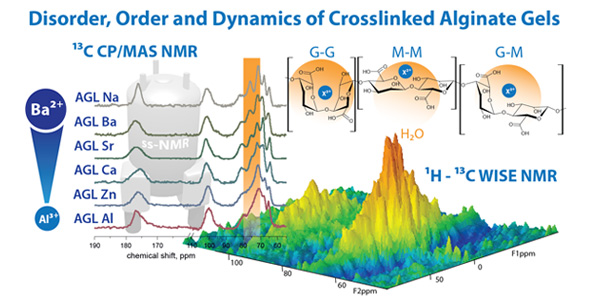 ssnmr