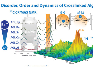 ssnmr