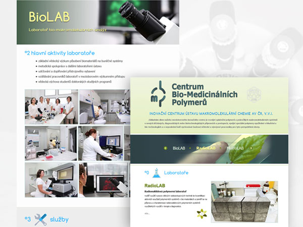  center of biomedical polymers