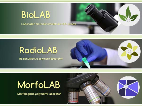  center of biomedical polymers